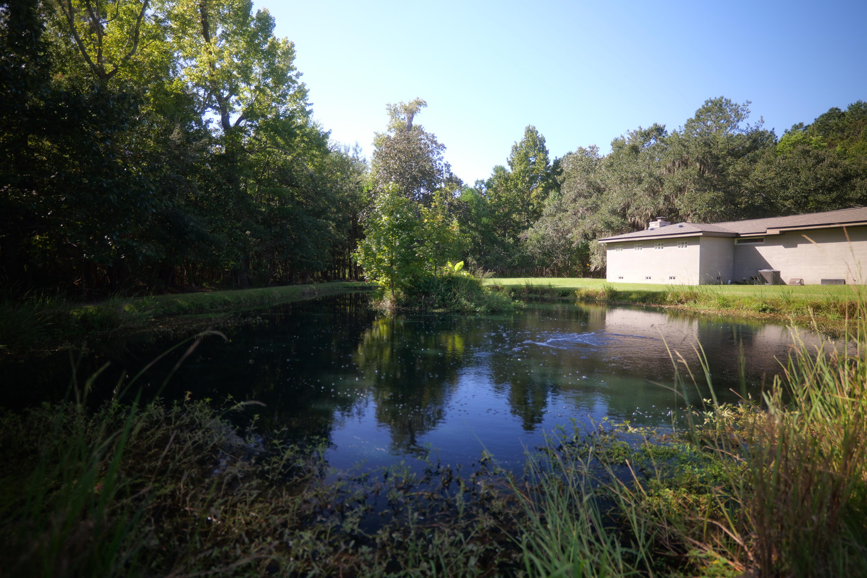 3033 State Rd S-10-1632 Johns Island, SC 29455 - Photo 6 of 38 2a-pond