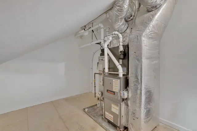 a view of a backyard with plants and large trees