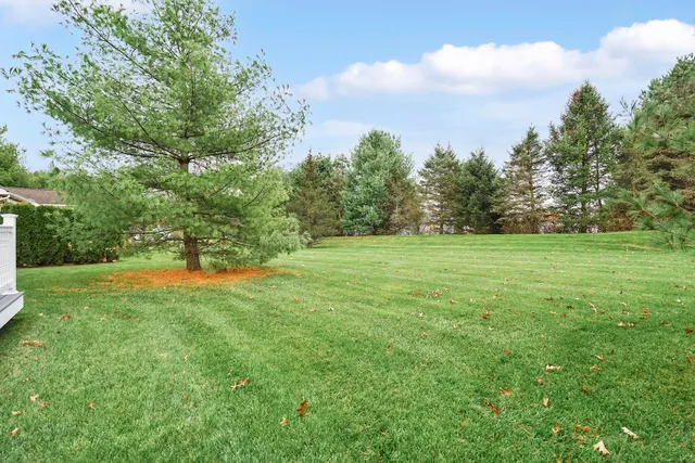 a view of a house with a backyard