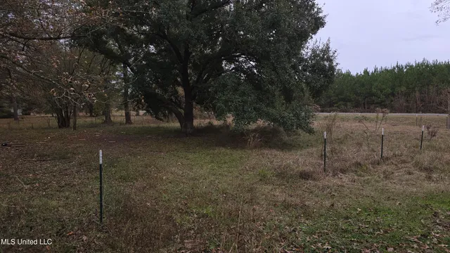 $100,000 | 6427 Highway 33 Roxie Ms 39661, Roxie, MS 39661