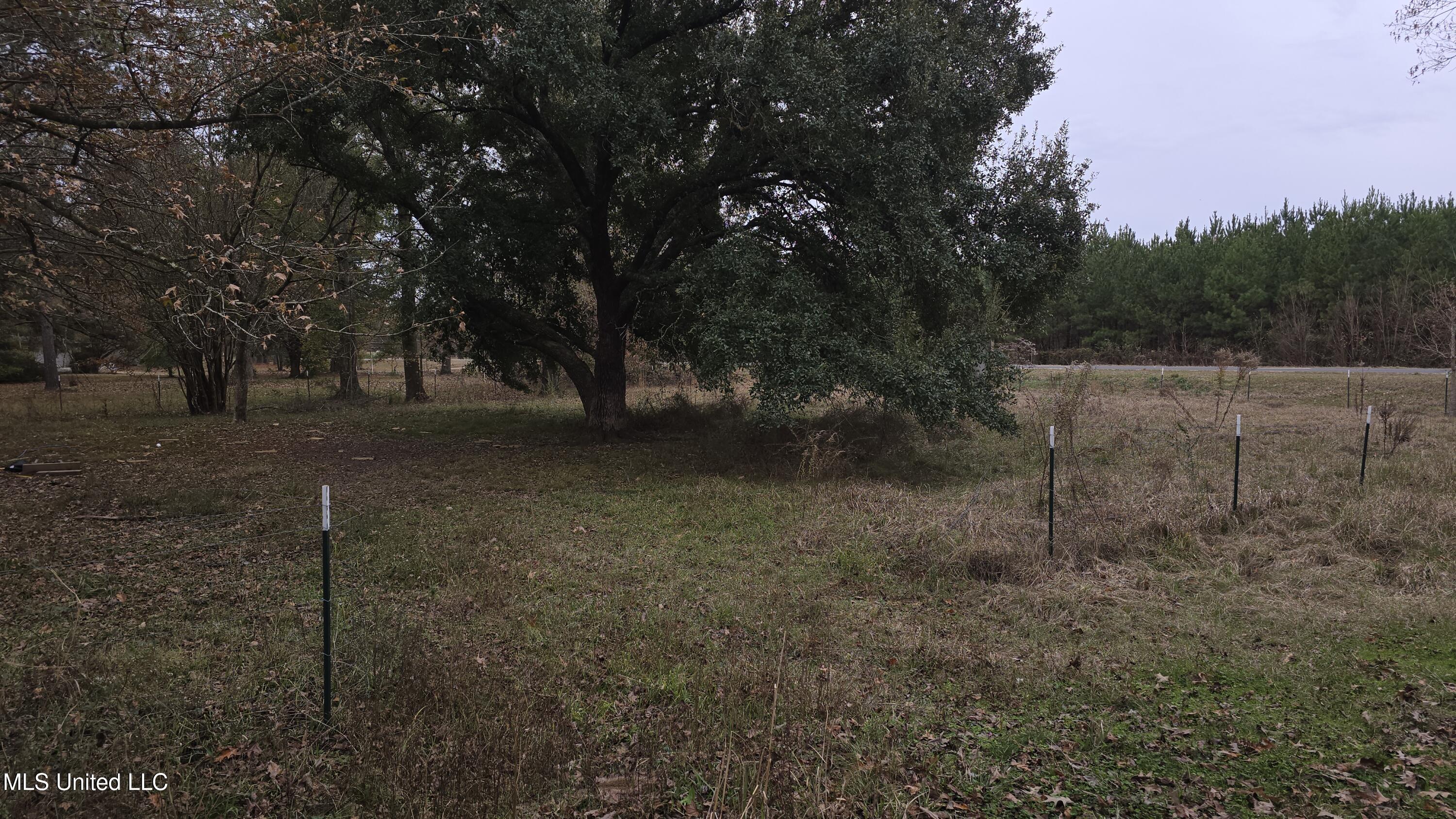 6427 Highway 33 Roxie Ms 39661 Roxie, MS 39661 - Photo 16 of 29 20251217_111246