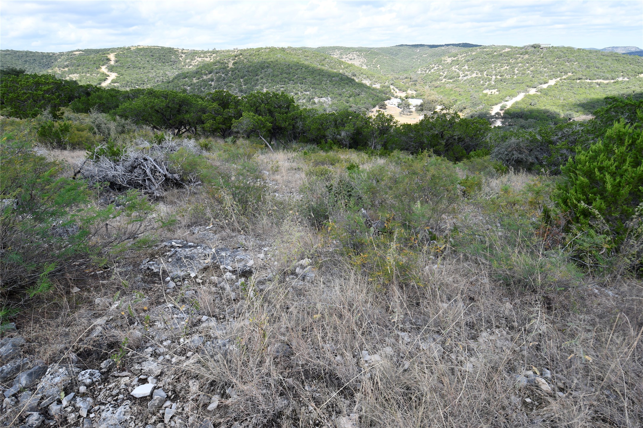 22 West Point Way Concan, TX 78838 - Photo 11 of 15 a view of a lush green forest with lots of trees