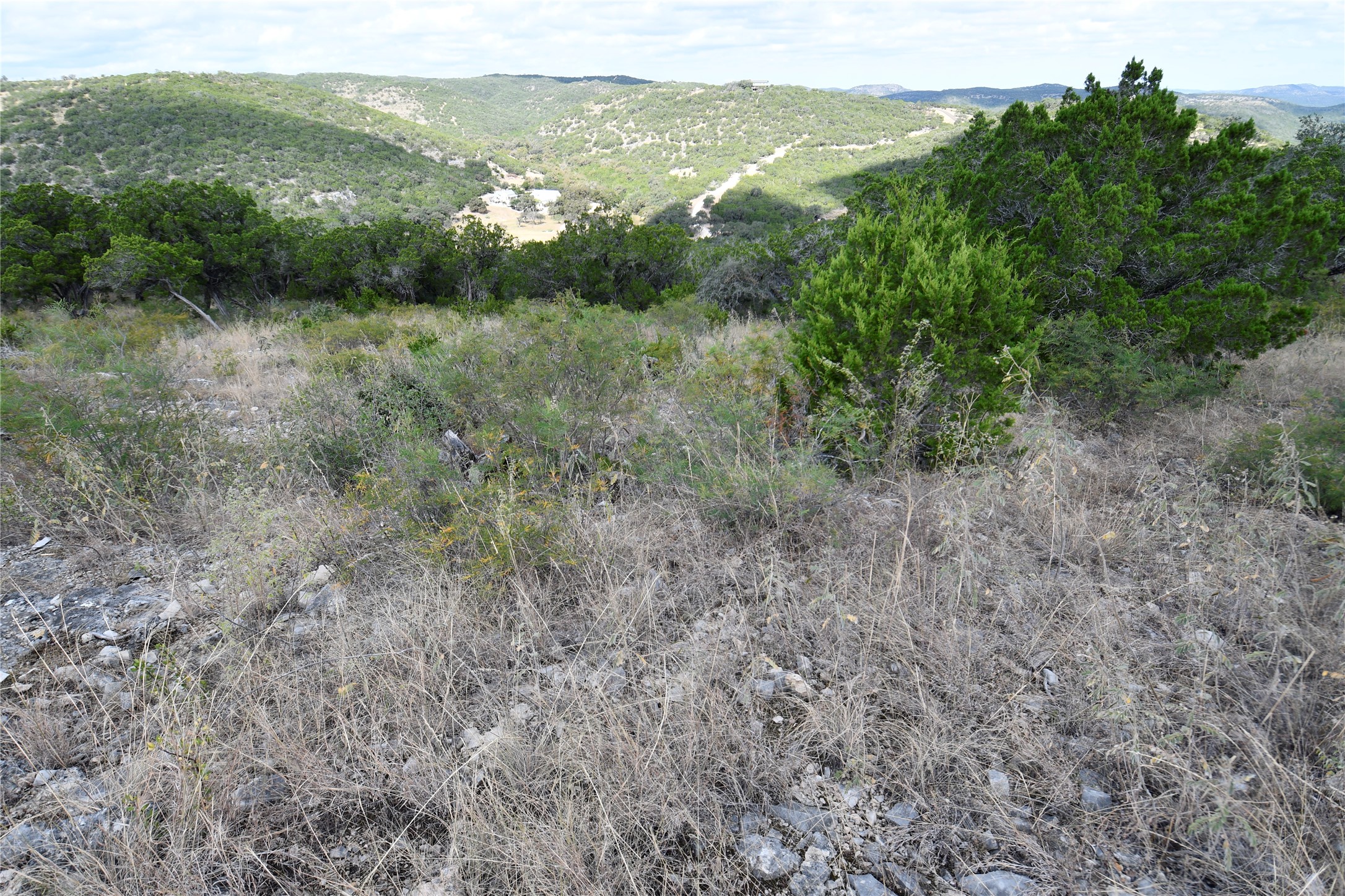 22 West Point Way Concan, TX 78838 - Photo 12 of 15 a view of a lush green forest with lots of trees