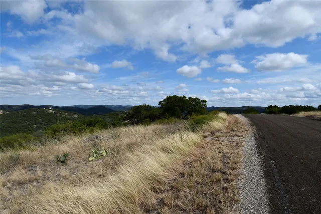 a view of a yard with plants and a tree