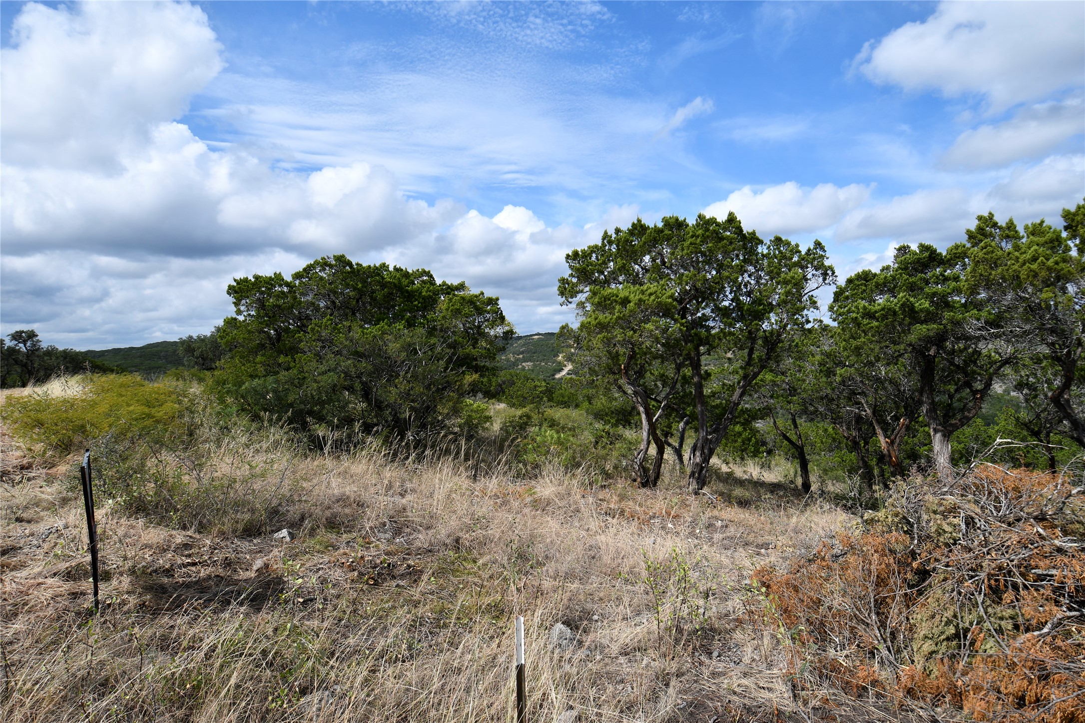 22 West Point Way Concan, TX 78838 - Photo 6 of 15 a view of a yard with plants and a tree