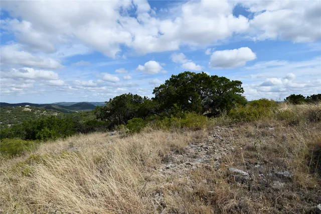 a view of a bunch of trees in a field