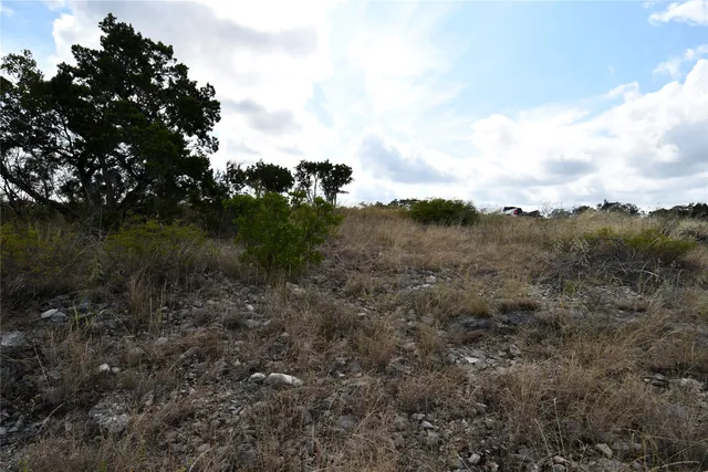 a view of a lush green forest with lots of trees