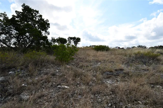 a view of a lush green forest with lots of trees