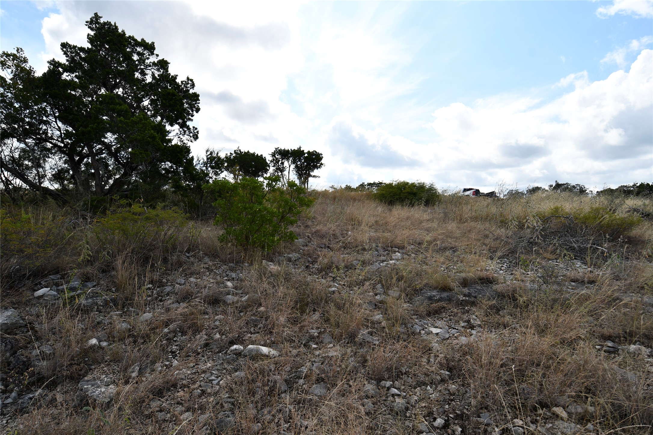 22 West Point Way Concan, TX 78838 - Photo 10 of 15 a view of a bunch of trees in a field