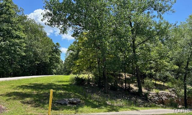 817 Wildflower Valley Road High Ridge, MO 63049 - Photo 2 of 8