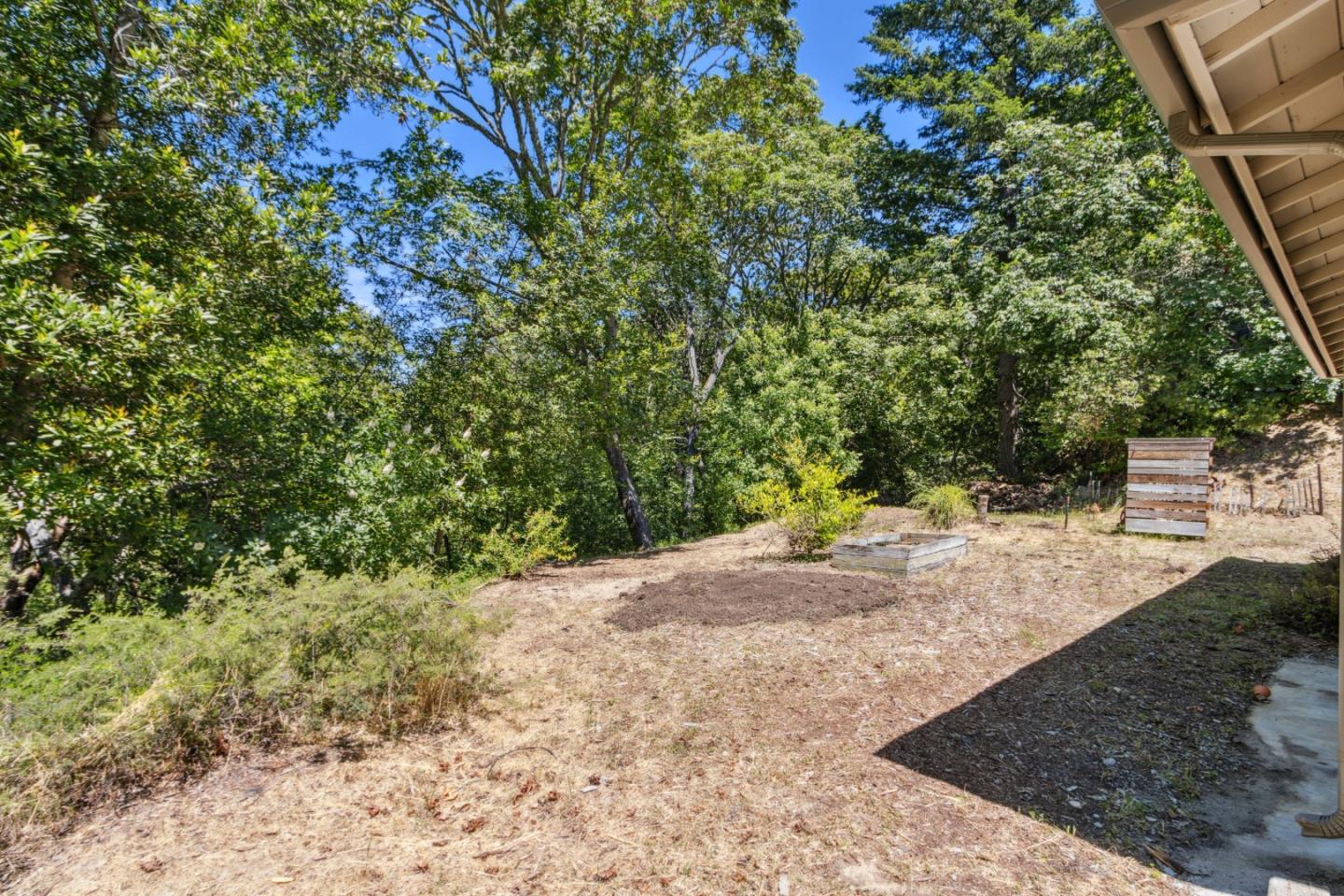24895 Skyland Road Los Gatos, CA 95033 - Photo 60 of 113 a view of a yard with plants and trees