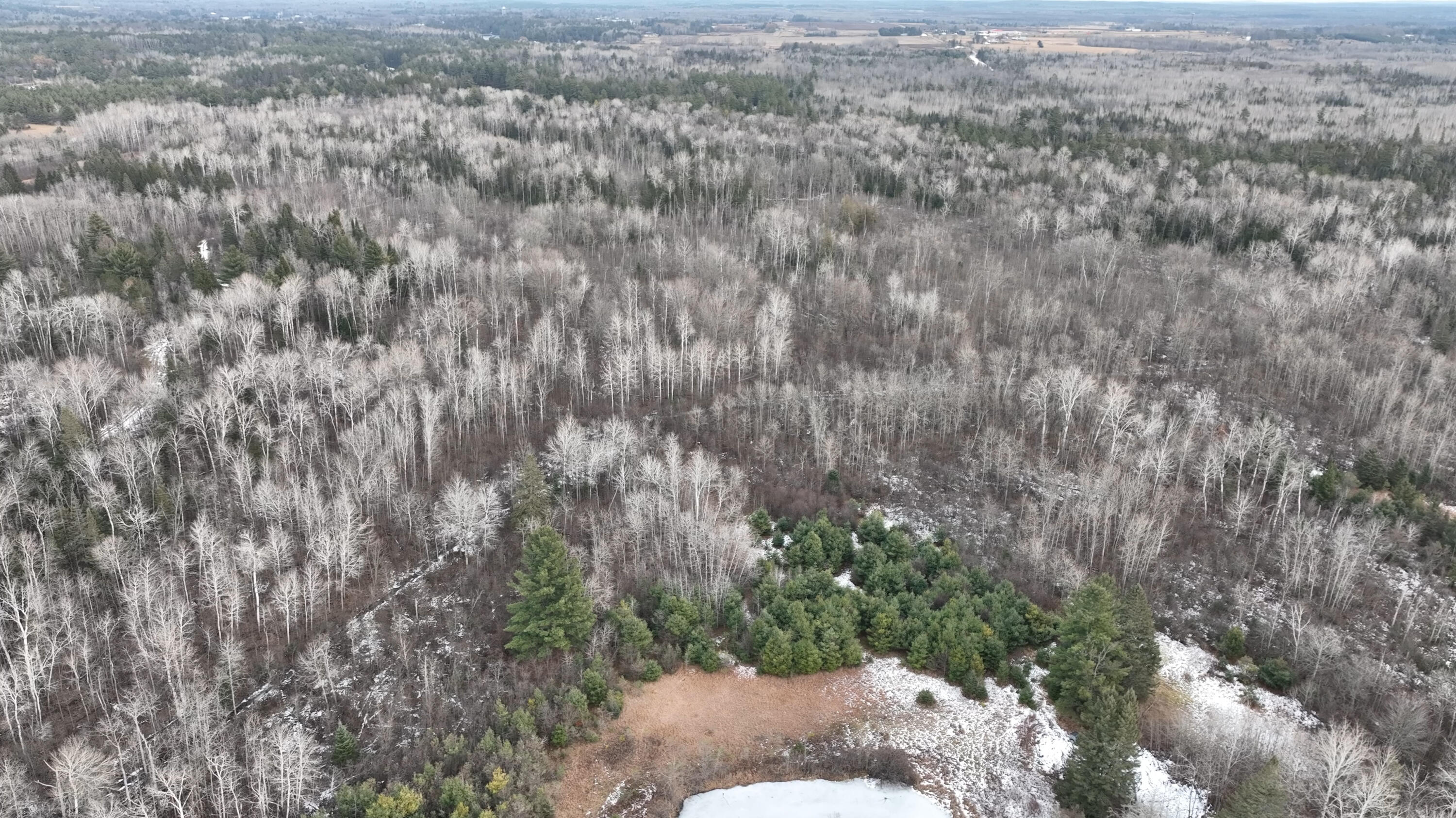 Lot 1 Funk Road Hillman, MI 49746 - Photo 12 of 25 Gallery Image 12