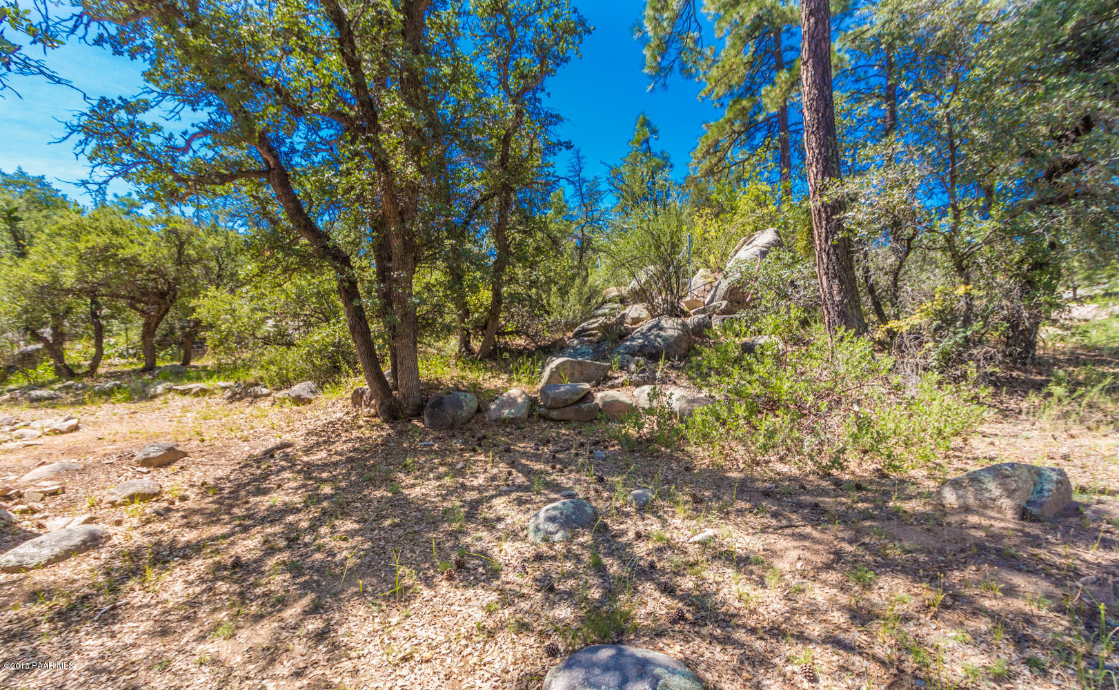 1333 Linden Road Prescott, AZ 86303 - Photo 15 of 15 015_Backyard