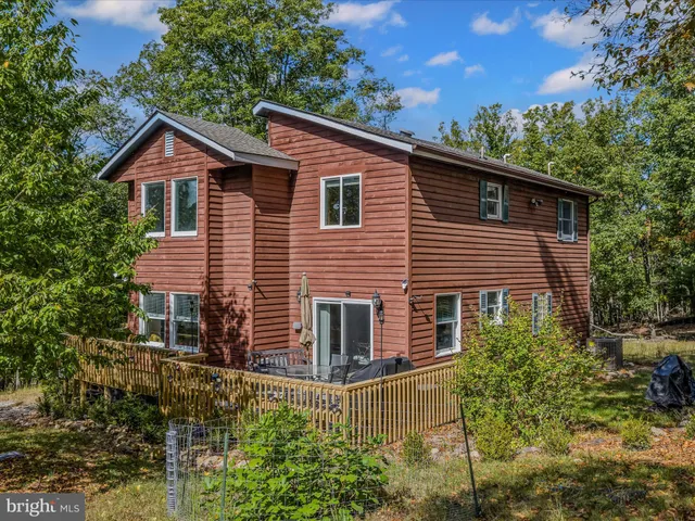 a view of a lush green forest with lots of trees