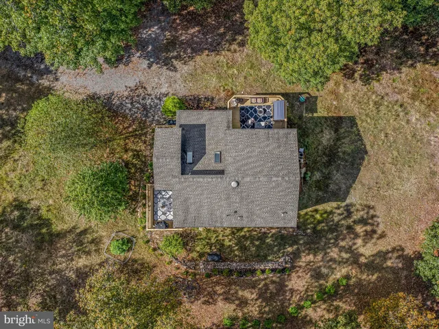 a view of a forest with a lush green forest