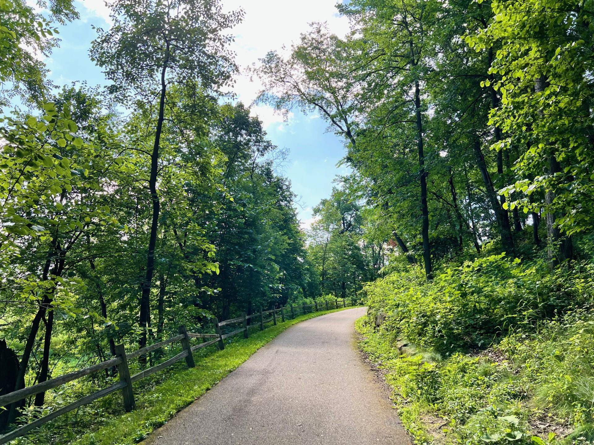 4.4 Bellflower DeForest, WI 53532 - Photo 22 of 24