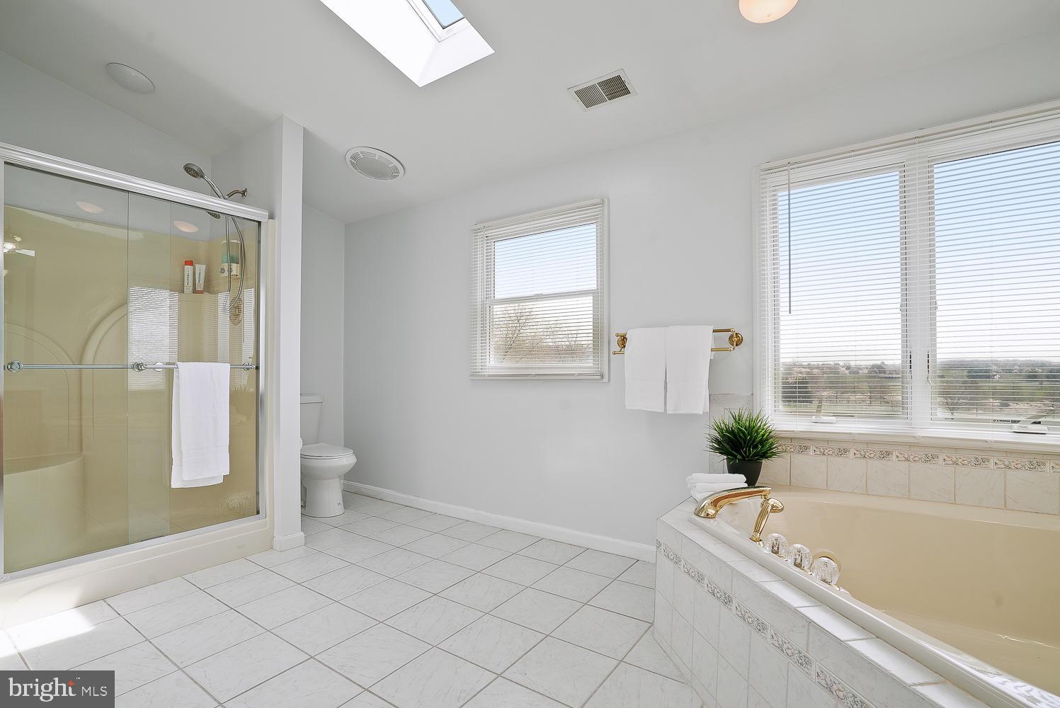 5693 Ridge Road Mount Airy, MD 21771 - Photo 27 of 36 Huge Master Bathroom with separate Tub and Shower
