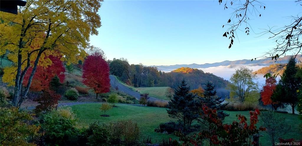 1945 Martins Creek Road Clyde, NC 28721 - Photo 2 of 42