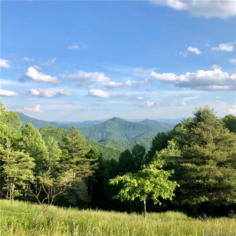 1945 Martins Creek Road Clyde, NC 28721 - Photo 11 of 42