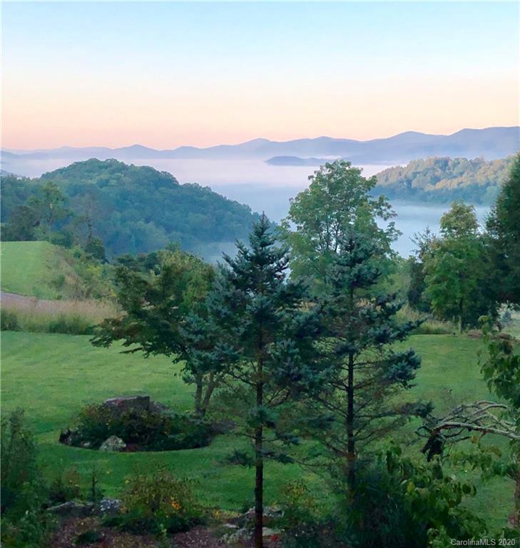 1945 Martins Creek Road Clyde, NC 28721 - Photo 3 of 42