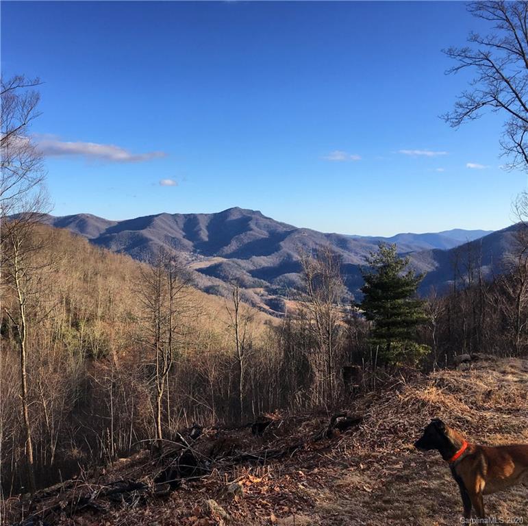 1945 Martins Creek Road Clyde, NC 28721 - Photo 21 of 42