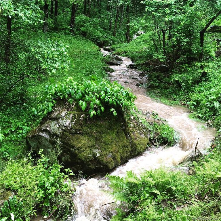1945 Martins Creek Road Clyde, NC 28721 - Photo 24 of 42