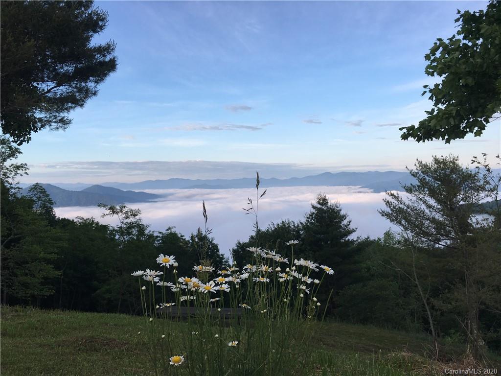 1945 Martins Creek Road Clyde, NC 28721 - Photo 26 of 42