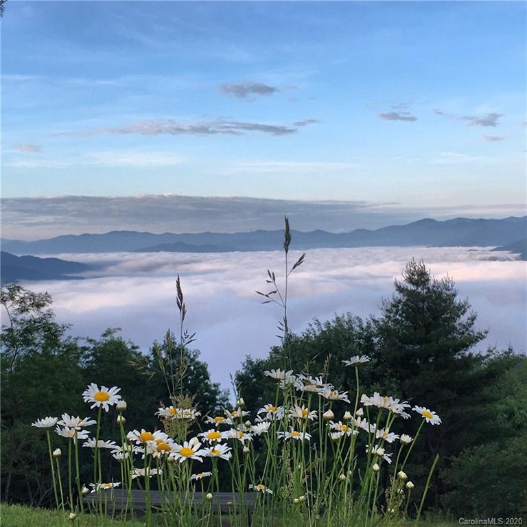 1945 Martins Creek Road Clyde, NC 28721 - Photo 27 of 42