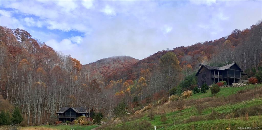 1945 Martins Creek Road Clyde, NC 28721 - Photo 4 of 42
