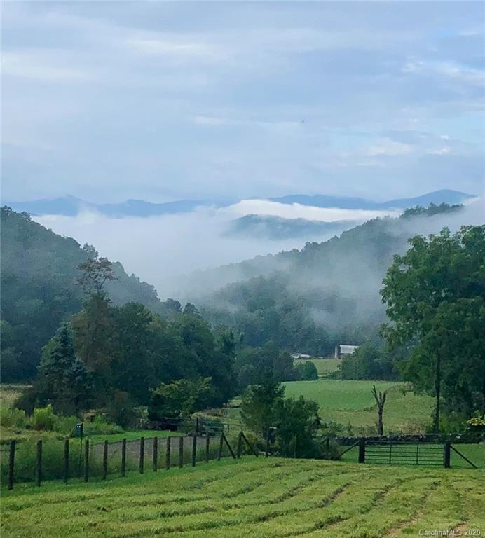1945 Martins Creek Road Clyde, NC 28721 - Photo 31 of 42