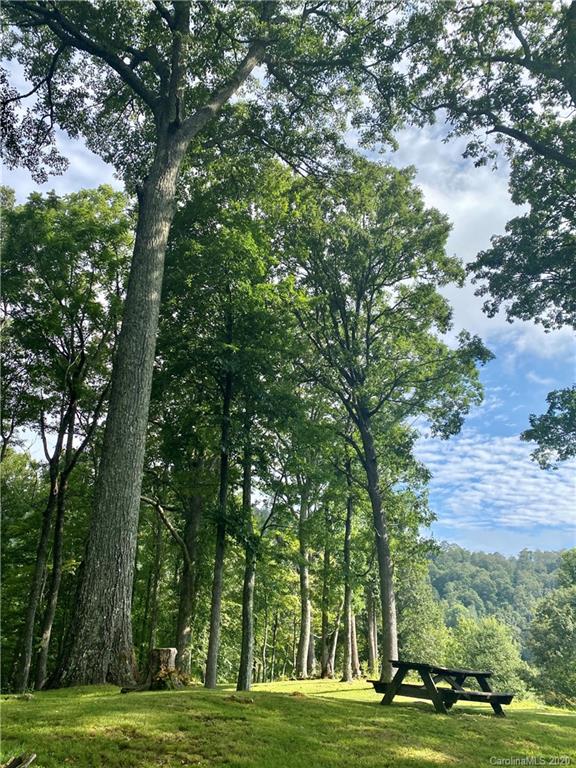 1945 Martins Creek Road Clyde, NC 28721 - Photo 34 of 42