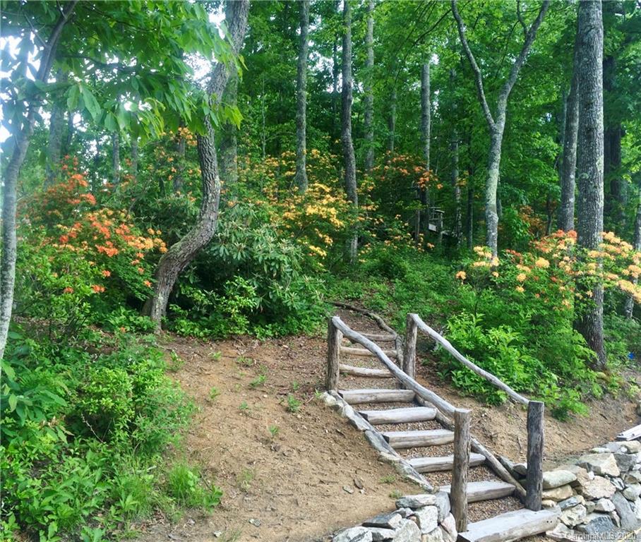 1945 Martins Creek Road Clyde, NC 28721 - Photo 36 of 42