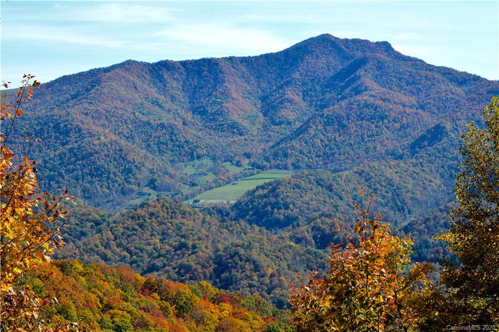 1945 Martins Creek Road Clyde, NC 28721 - Photo 38 of 42