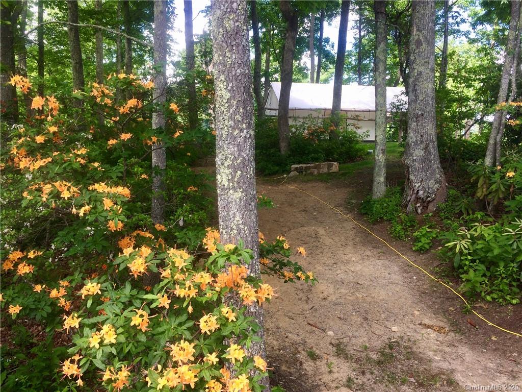 1945 Martins Creek Road Clyde, NC 28721 - Photo 40 of 42