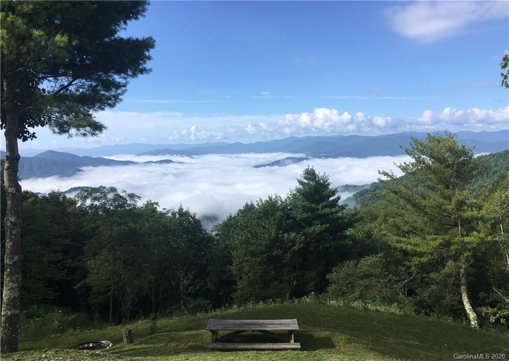 1945 Martins Creek Road Clyde, NC 28721 - Photo 5 of 42