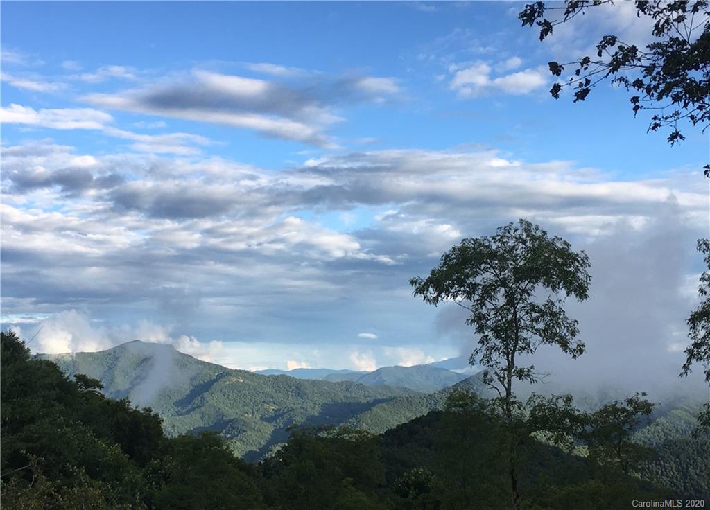 1945 Martins Creek Road Clyde, NC 28721 - Photo 6 of 42