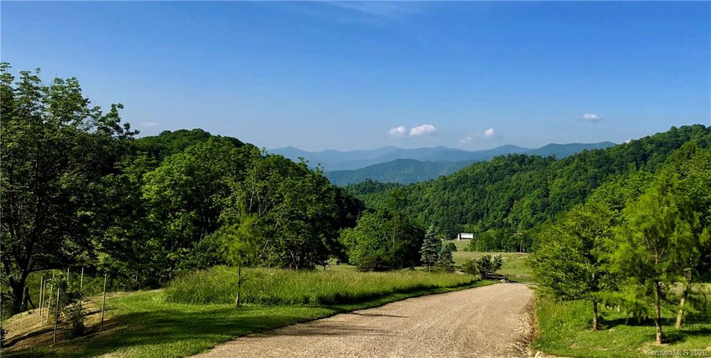 1945 Martins Creek Road Clyde, NC 28721 - Photo 8 of 42