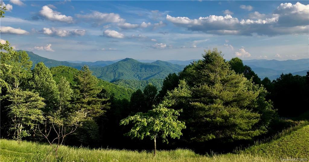 1945 Martins Creek Road Clyde, NC 28721 - Photo 9 of 42