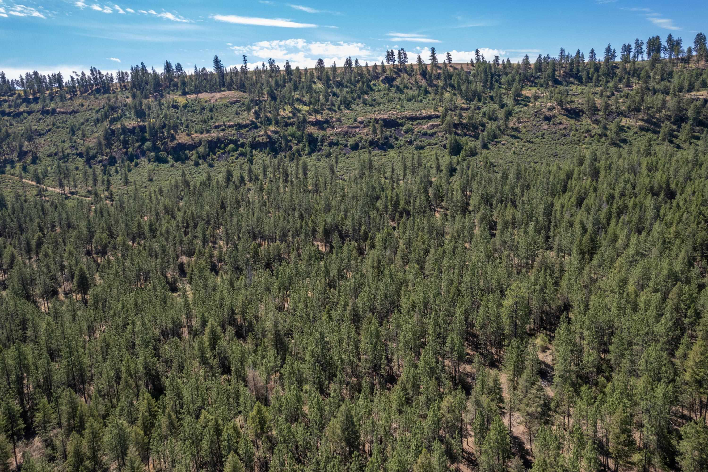 27615 West Long Lake Road Ford, WA 99013 - Photo 48 of 50