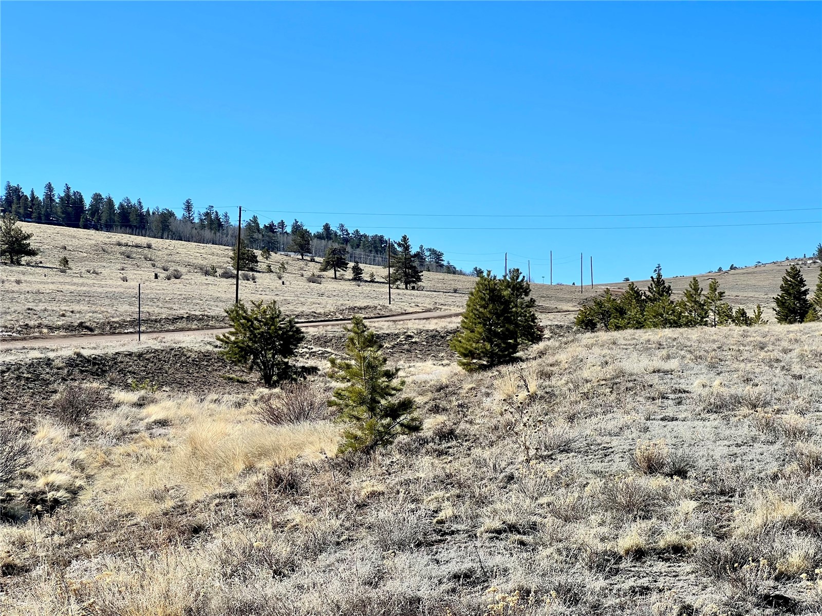 Tbd Chickasaw Road Hartsel, CO 80449 - Photo 9 of 23 View of yard featuring a rural view