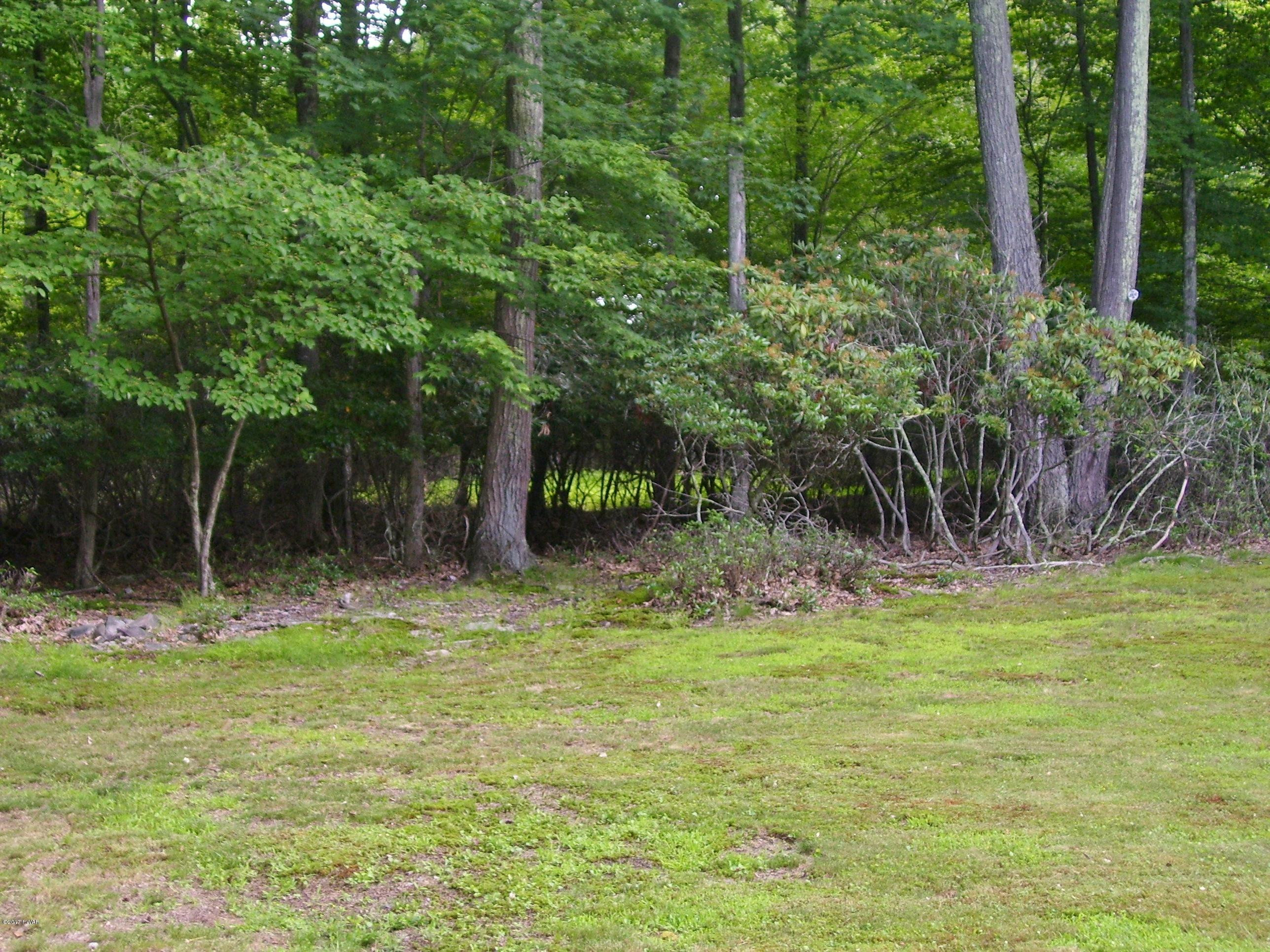 128 Estates Road Greentown, PA 18426 - Photo 26 of 27 Back Yard