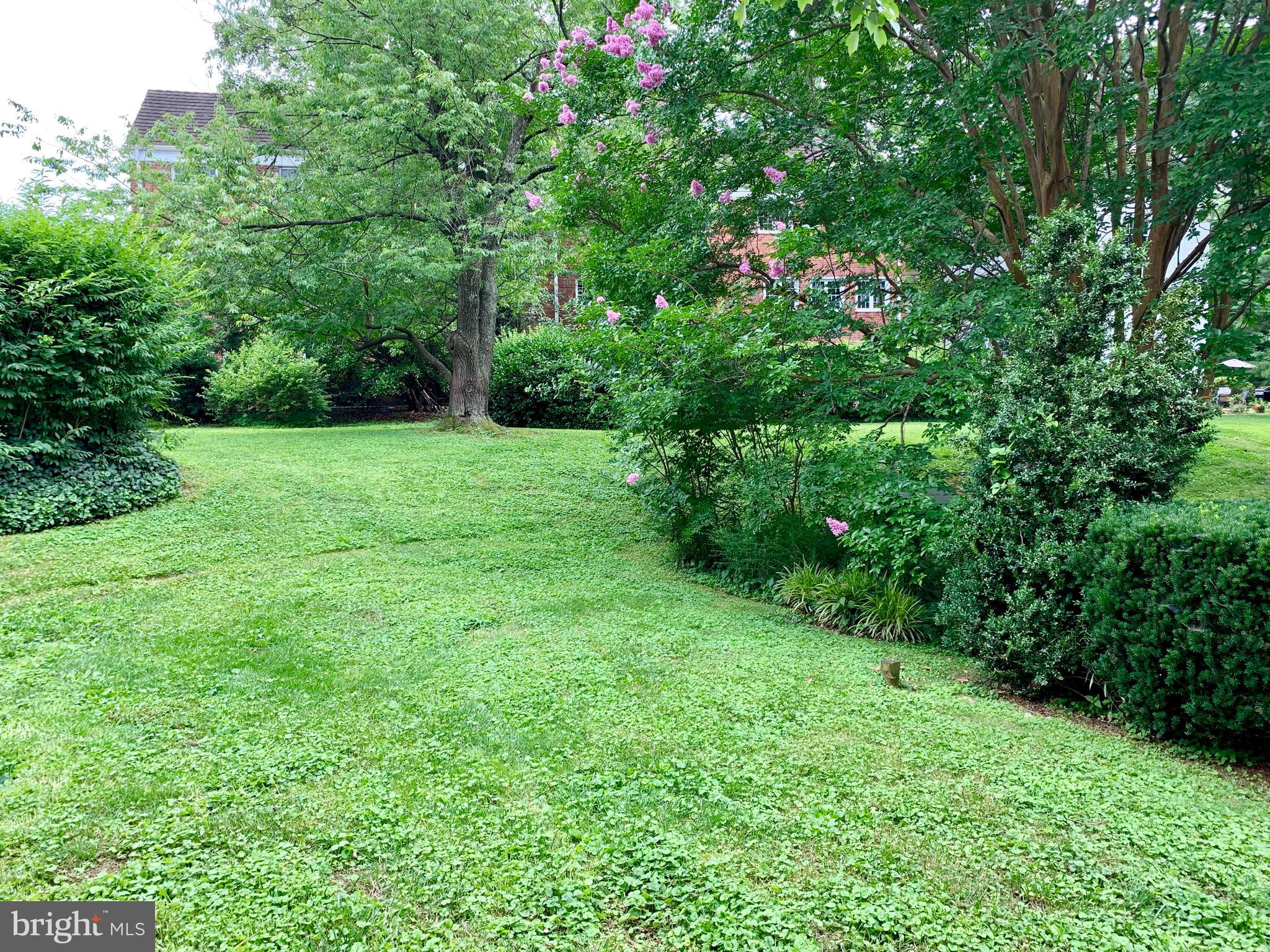 3426 Gunston Road Alexandria, VA 22302 - Photo 12 of 24 Enjoy your own private outdoor space