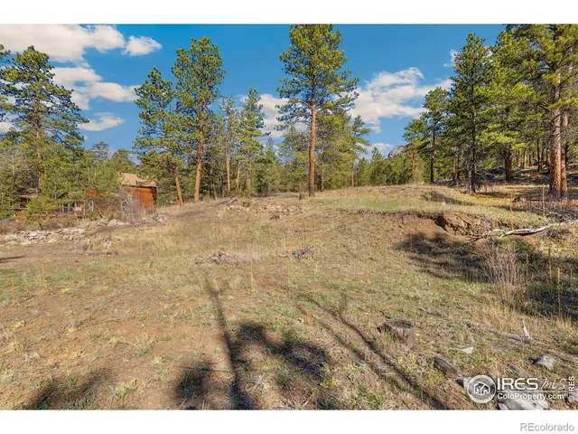 a view of a yard with trees