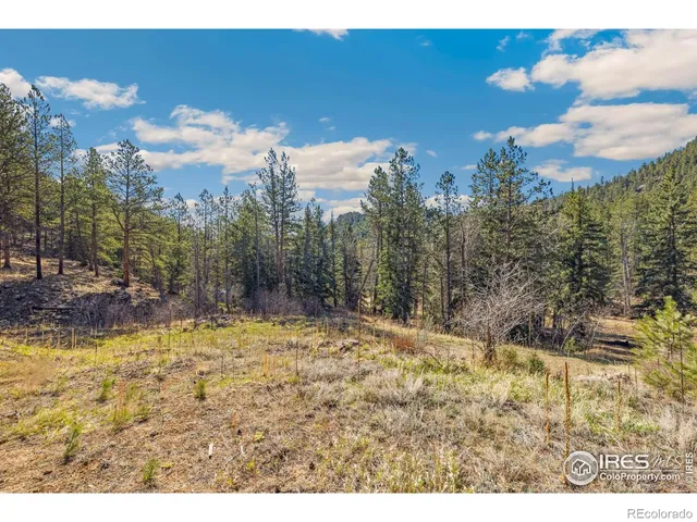 a view of swimming pool with a yard