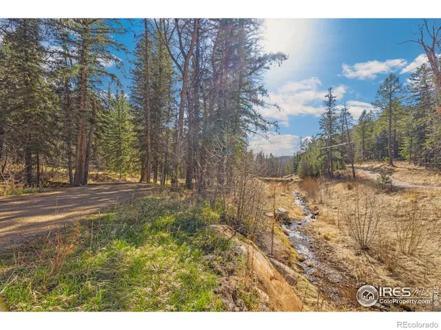 a view of a yard with a tree
