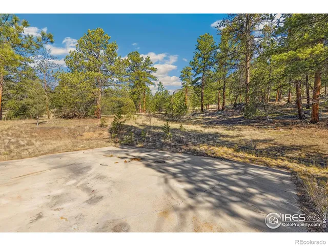 a view of a yard with trees in the background