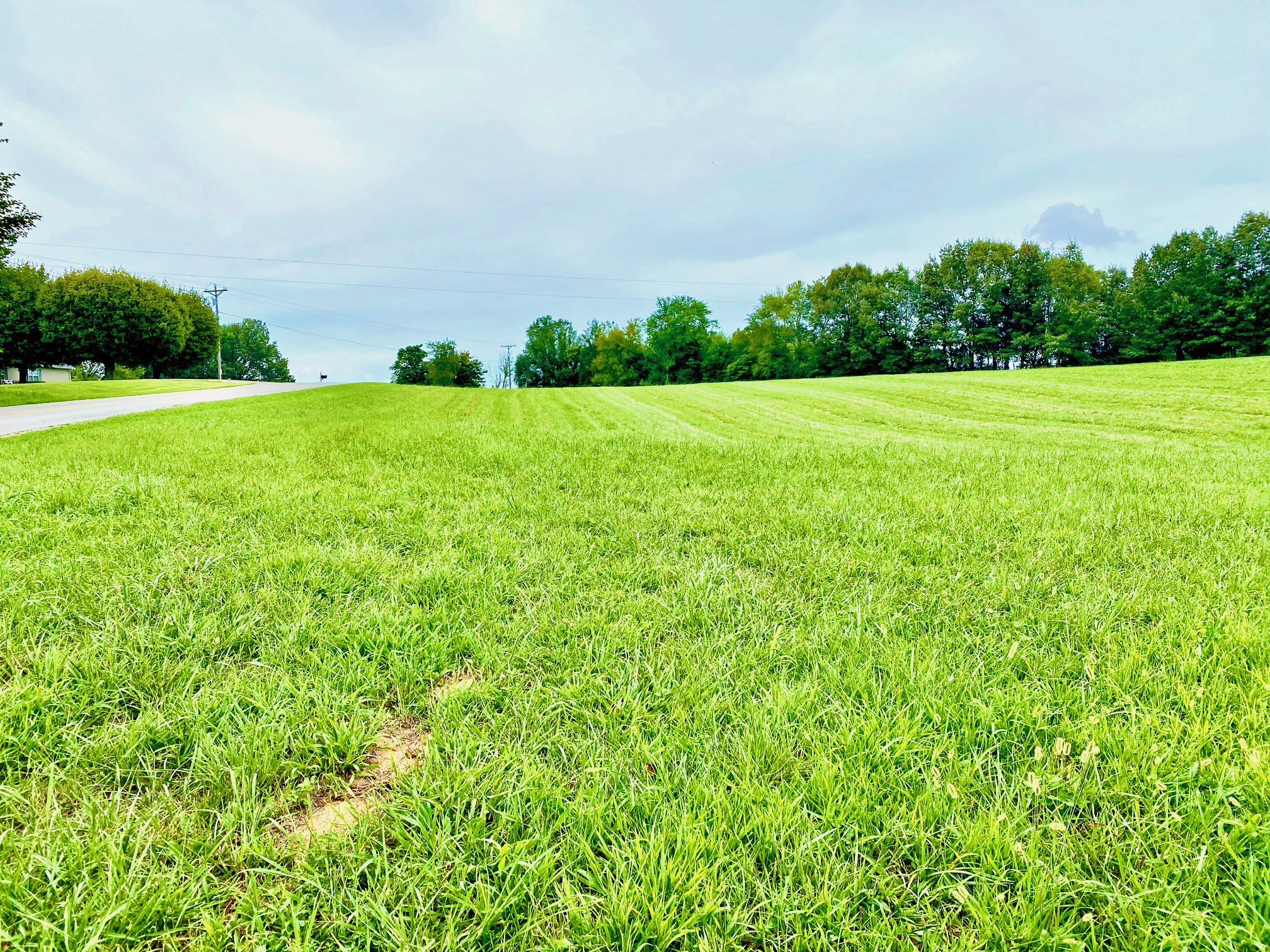 2214 Temperance Road Franklin, KY 42134 - Photo 1 of 14 Gallery Image 1