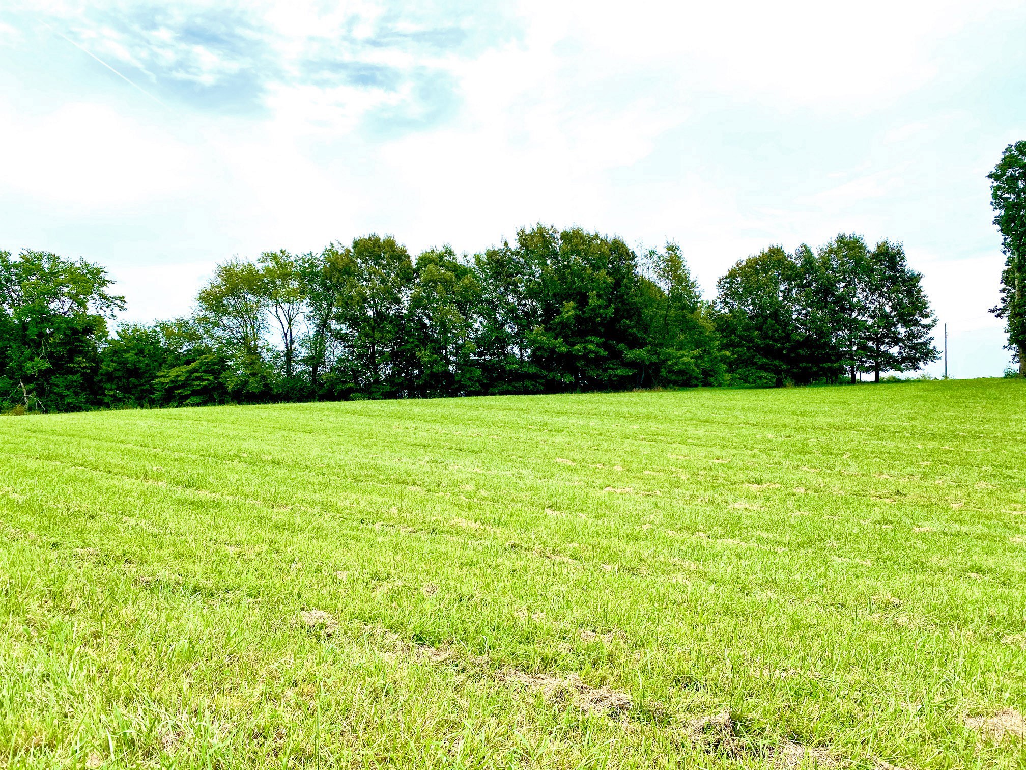 2214 Temperance Road Franklin, KY 42134 - Photo 12 of 14 Gallery Image 12