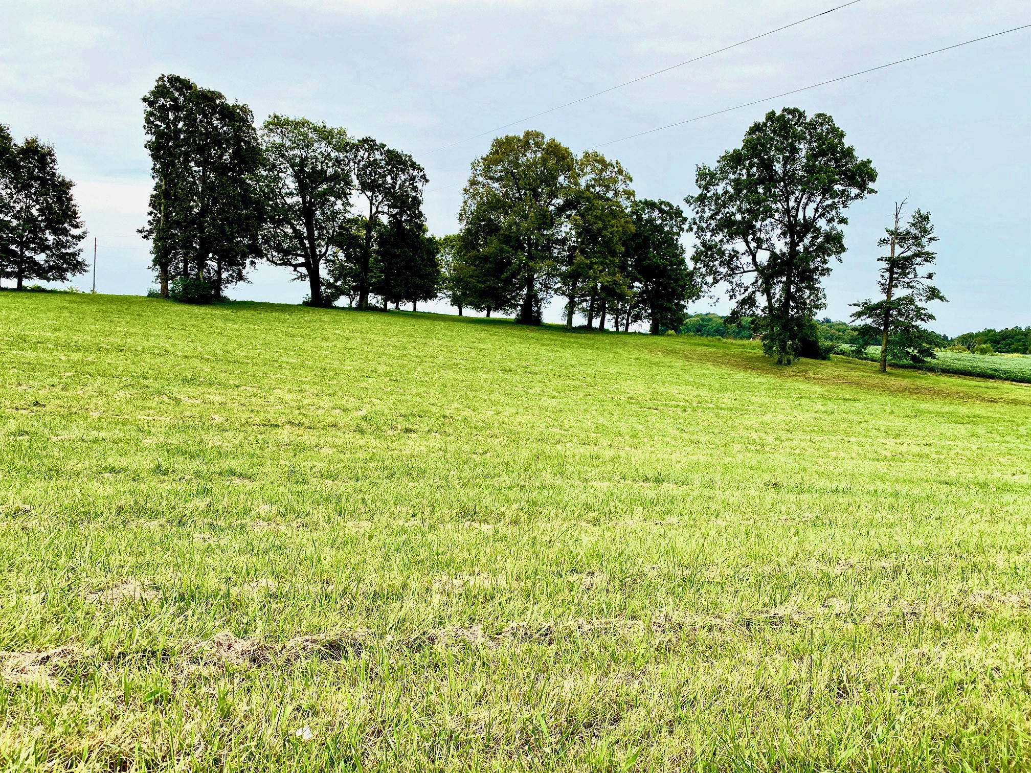 2214 Temperance Road Franklin, KY 42134 - Photo 13 of 14 Gallery Image 13