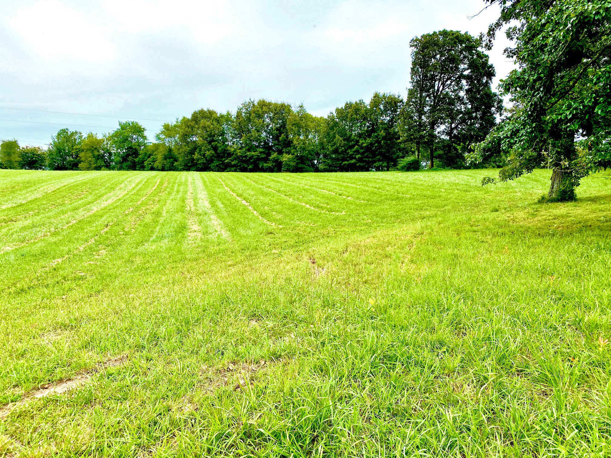 2214 Temperance Road Franklin, KY 42134 - Photo 2 of 14 Gallery Image 2